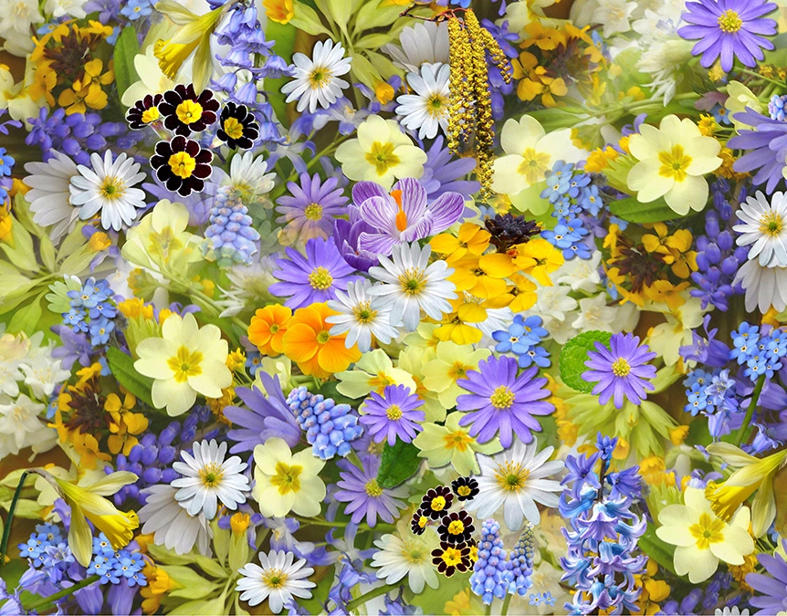 vårblommor