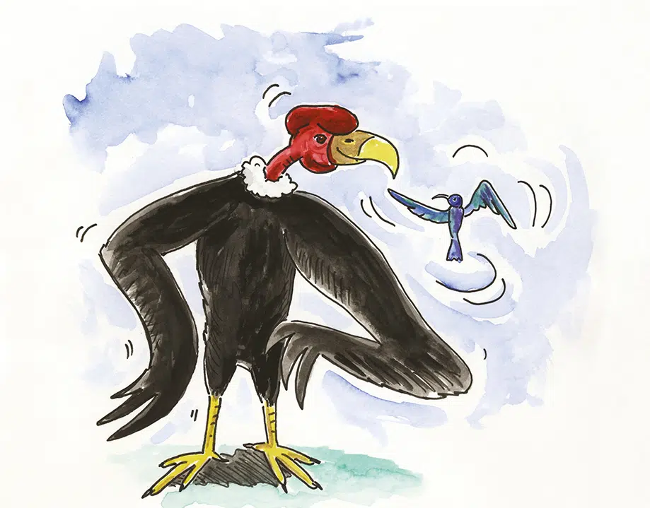 Mallku & Lulli, Sagan om den stora kondoren och den lilla kolibrin.